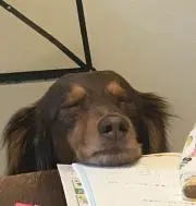 とも