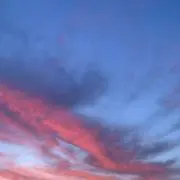 たろーの画像