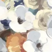 mokaの画像