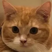 アイ★プロフご一読くださいの画像