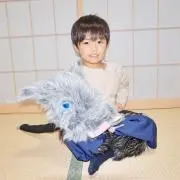シュナの画像