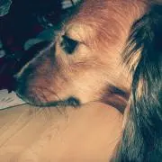 ないないさん