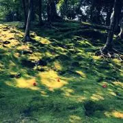 yellow07の画像