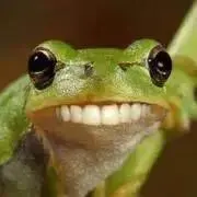 RRR★の画像