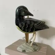 たまの画像