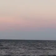 ゆきの画像