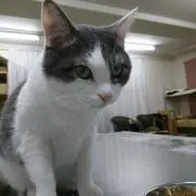 優太