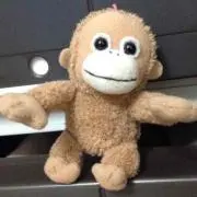 炎のペンペン隊長