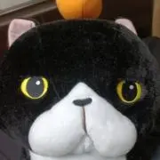 ビスコ@値下げ依頼承諾=即購入をお約束の画像
