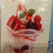 ハルの画像
