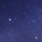 ルー