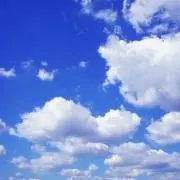 蓮(プロフィール確認お願いします)