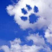 カリスマ