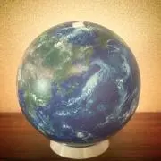 メダ