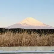 ひきわり納豆