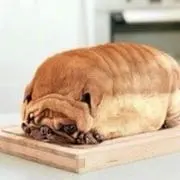 しょくぱんの画像