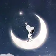 いちこの画像