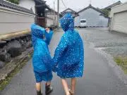 ことり　★即購入OK★プロフ確認願いますの画像