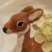 Chiの画像
