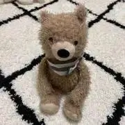 ましゅまろの画像