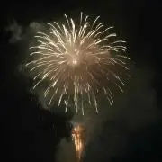 たんごのごんた