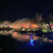Loolの画像