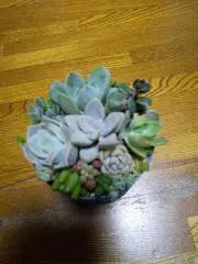 ドラえもんの画像