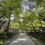 へらの画像