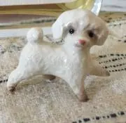 obonの画像