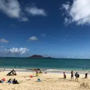 Tommyの画像