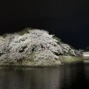 る