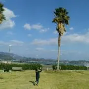 美品海老