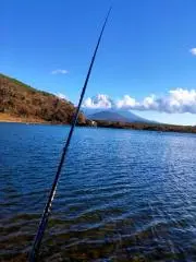 GOGOの画像
