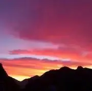 あずきの画像