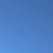 ゆの画像