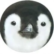 おしゅんの画像