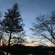 sunsunの画像