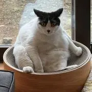 るーく