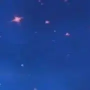 もちもちの画像