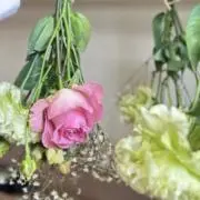 じゃむ