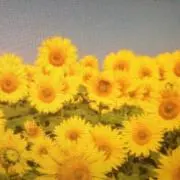 めぐめぐの画像