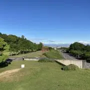 有在庫onlyの画像