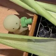 あの画像