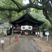 のすけの画像