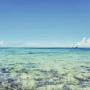 nanzoの画像