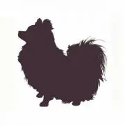 poの画像