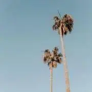 ほくろの画像