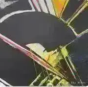 Edwardの画像