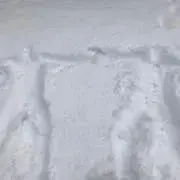 ！！の画像