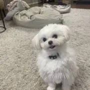 takemaru